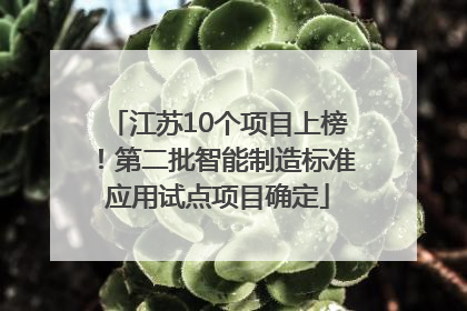 江苏10个项目上榜！第二批智能制造标准应用试点项目确定